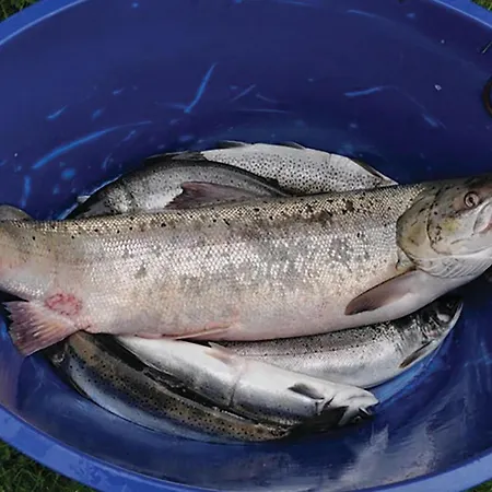 Lovely In Eikesdal With Kitchen